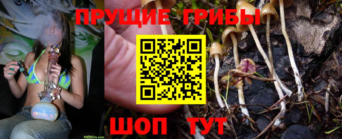Горно-Алтайск  Галлюциногенные грибы MAGIC MUSHROOMS  Вход с VPN  что такое наркотик  Псилоцибиновые грибы прущие грибы 
